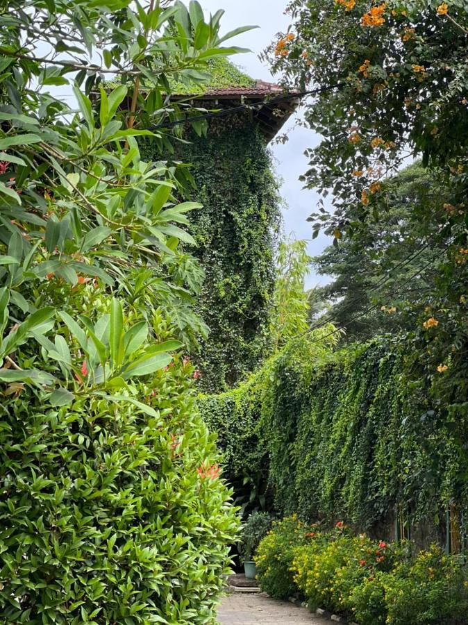 Udf Nature Villa Kandy Exteriör bild